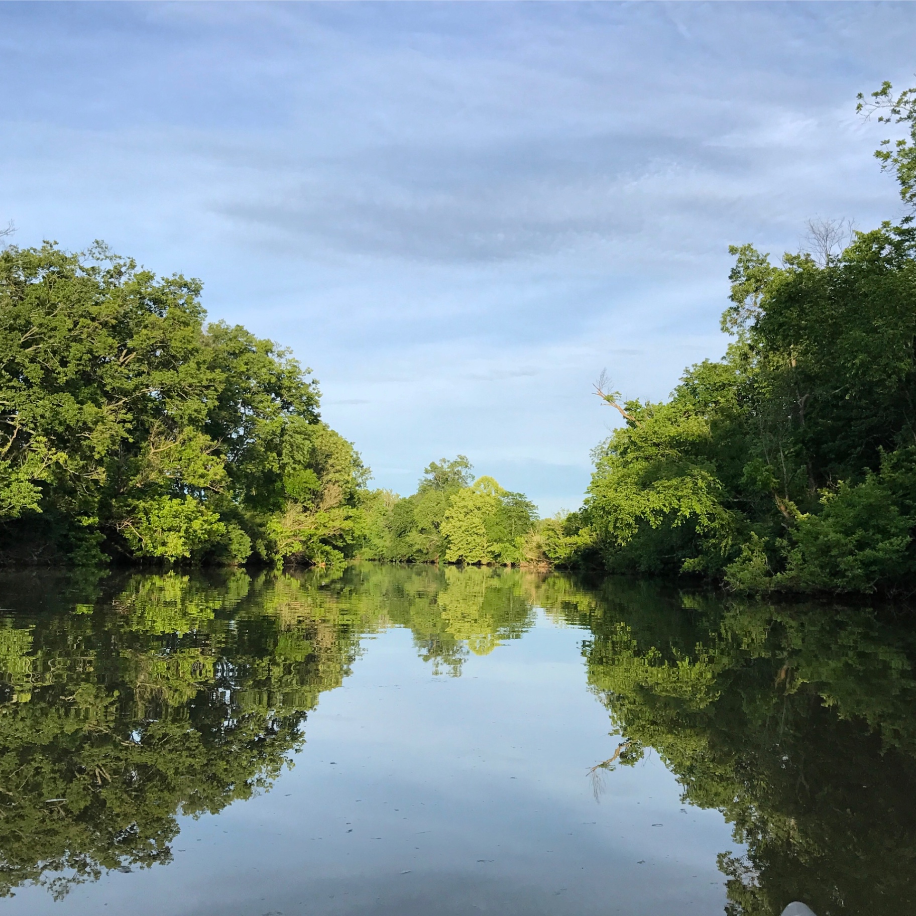 Still pond reflecting trees and sky