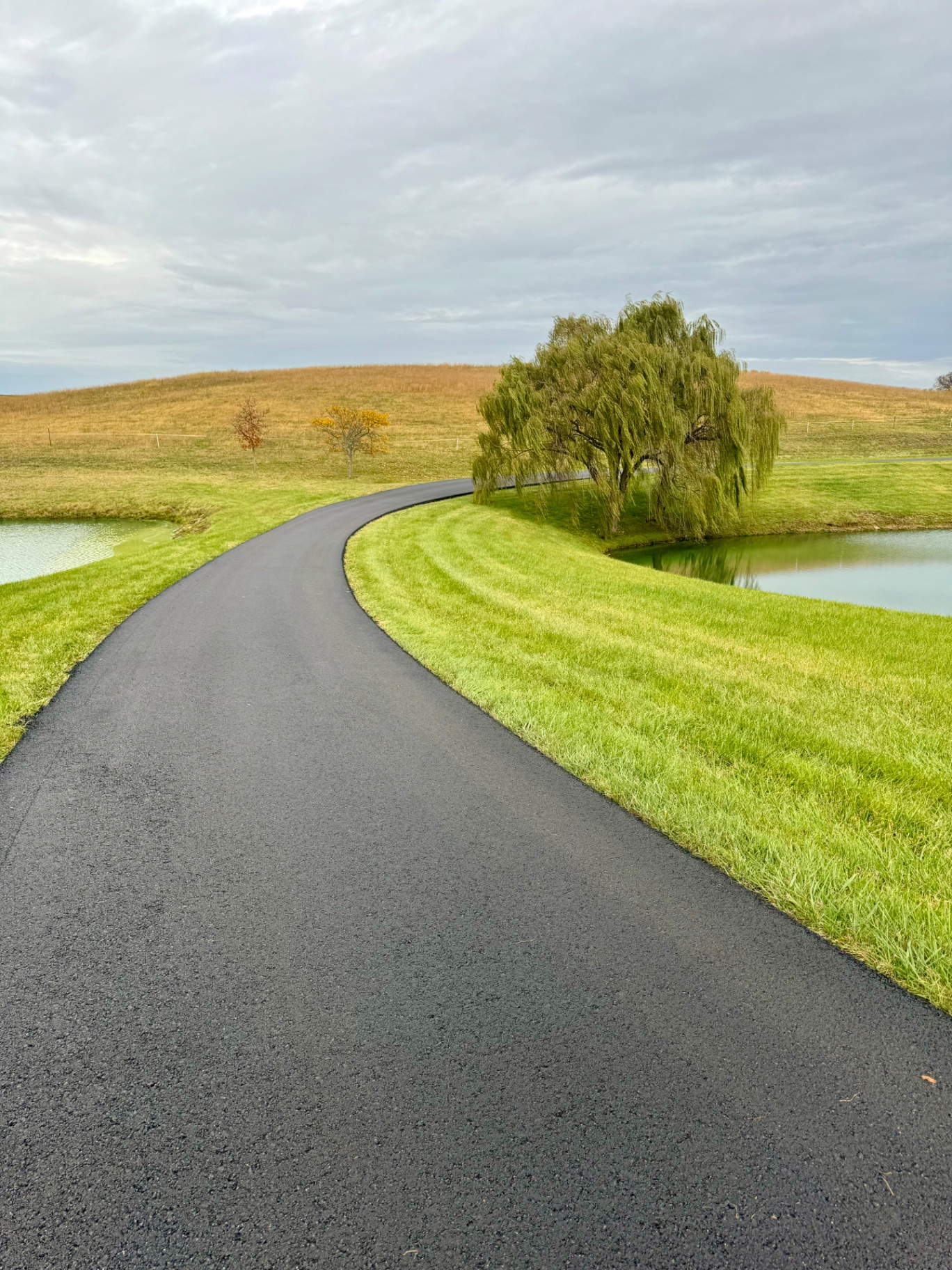 Winding drive past willow tree and pond