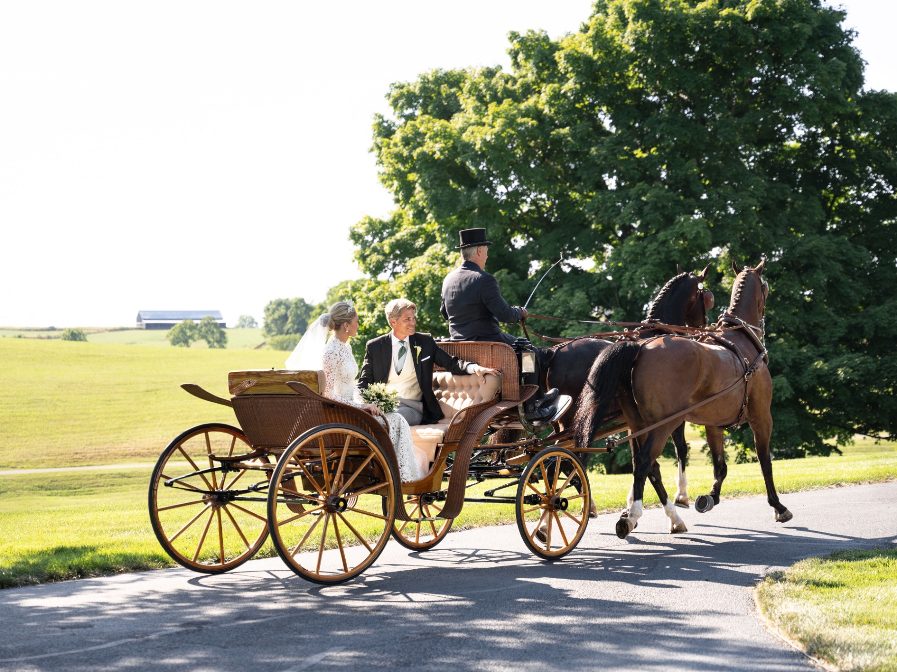 Bride and groom in a horse-drawn carriage at Augustus Hill Farm